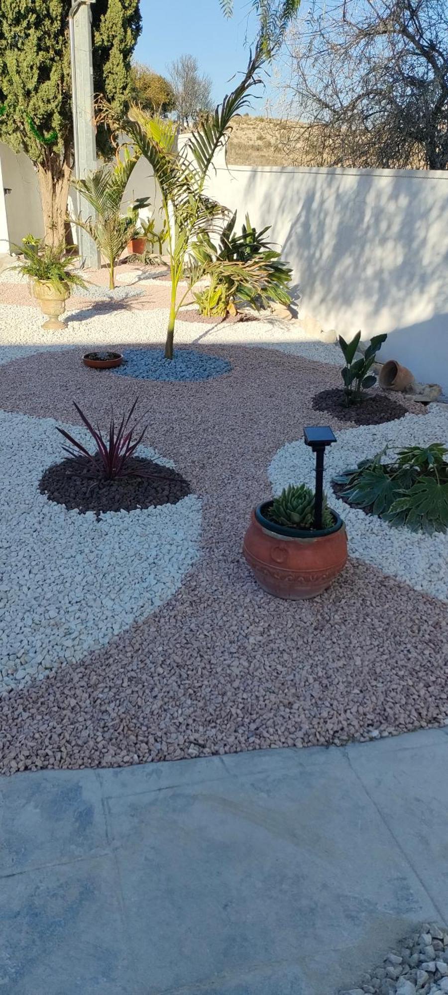 Casa Rural Con Piscina Climatizada Y Barbacoa A 10 Km De Alicante Y Playas, 3000 M2 De Terreno إلتشه المظهر الخارجي الصورة